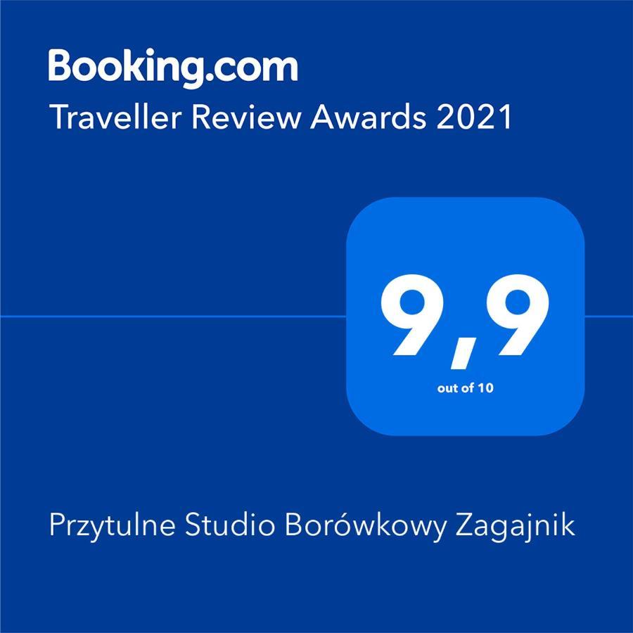 Przytulne Studio Borowkowy Zagajnik ピエホビツェ エクステリア 写真