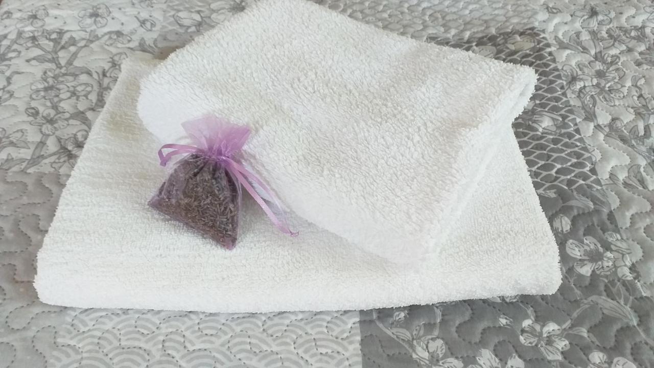 Przytulne Studio Borowkowy Zagajnik ピエホビツェ エクステリア 写真