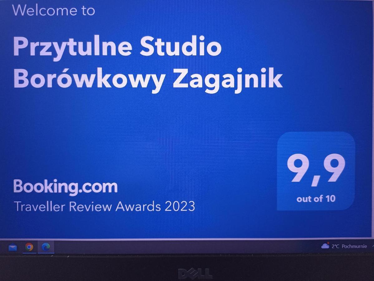 Przytulne Studio Borowkowy Zagajnik ピエホビツェ エクステリア 写真